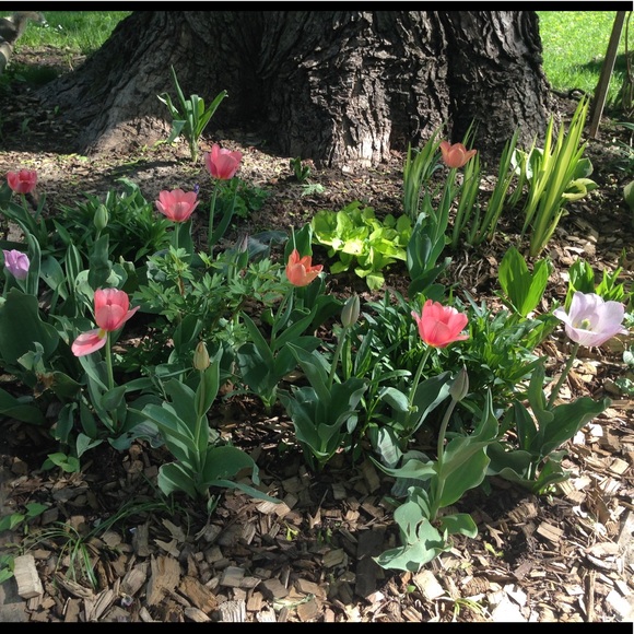 Handmade Jewelry! 💕 - Picture 2 of 3